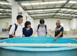 上海市青浦區農業農村委員會技術開發現狀與展望